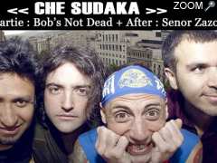 Foto ★ Concert : Che Sudaka + Bob's not dead + Señor Zazou ★